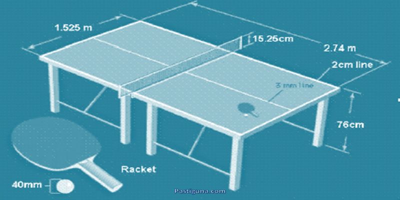 Ukuran Lapangan Tenis Meja Standar dan Aturannya